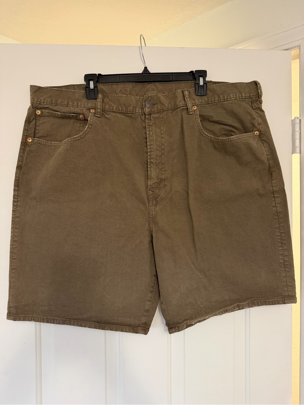 American Eagle Outfitters Men's Olive Shorts